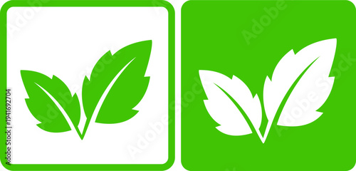 Hand drawn eco emblem with green leaves, branches