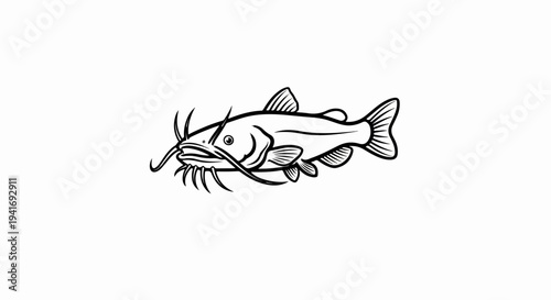 Outline illustration of a catfish with prominent barbels