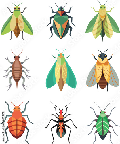 insects set Aphid, Assassin Bug, Bed Bug, Cicada, Leafhopper, Louse, Planthopper, Stink Bug, Treehopper.