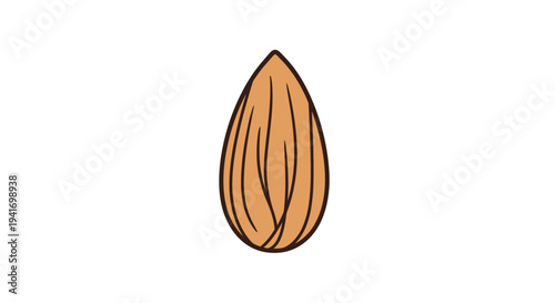 Almond Nut Illustration Simple Design Element.