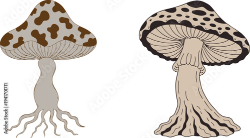 Cute Spotted Mushroom Vector Illustration