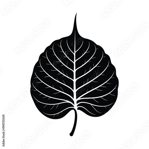 Black and white leaf with detailed veins nature botanical