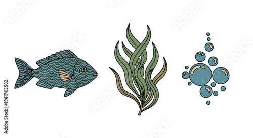 Fish Seaweed and Bubbles Illustration Set.