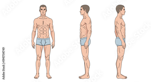 Anatomical illustration of a fit male body shown from the front, side, and back views for health and fitness reference materials.