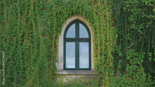 old stone building with green ivy and arched window