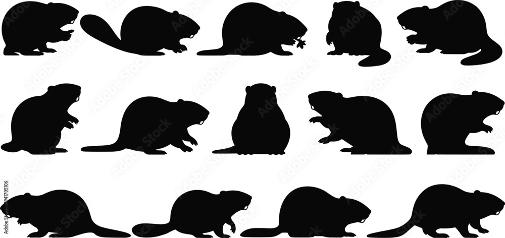 Fototapeta premium Large collection of beaver silhouette vector illustrations in various poses isolated on white background for wildlife nature design projects.
