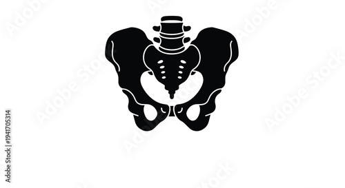 Anatomical silhouette of a human pelvis bone showing the sacrum and hip bones on a plain white background for medical study.