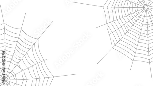 Two delicate spiderwebs displayed against a plain white background
