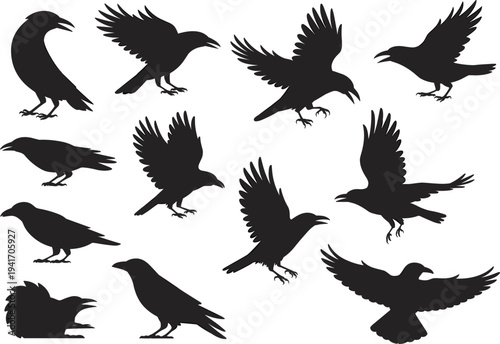 Large collection of black crow and raven silhouette vector illustrations in various flying and perched poses isolated on white background.