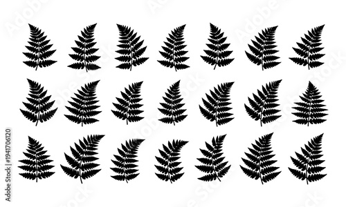 Collection of Black Fern Leaf Silhouettes Isolated on White