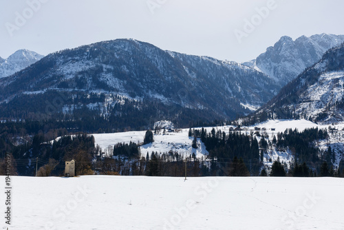 Canvas Print Snowy alpine mountain landscape with pine forest and clear sky