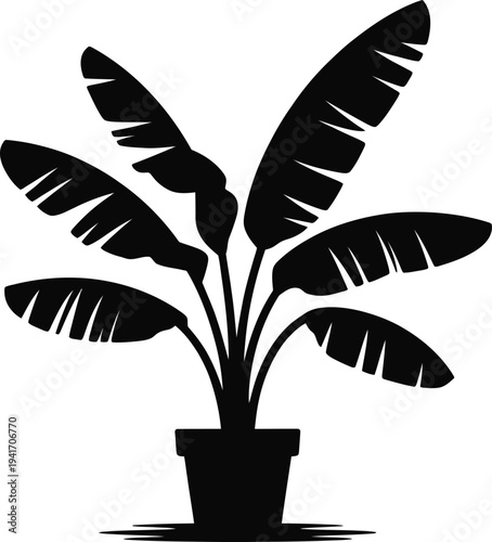 Potted Banana Plant Silhouette