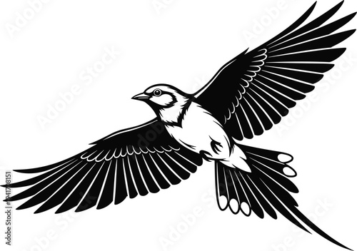 Black and White Silhouette of a Bird in Flight with Wings Spread flying