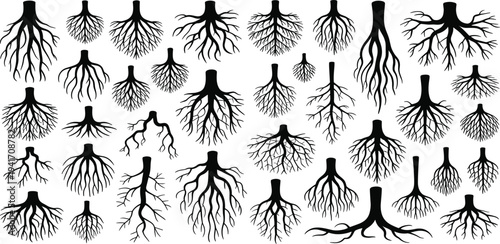Large collection of various tree and plant root system silhouettes isolated on white background for botanical and environmental designs