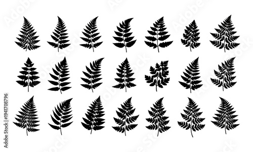 Collection of various fern leaf silhouettes.
