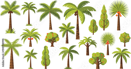 Tropical palm trees and cartoon forest trees vector set with jungle plants nature landscape illustration collection