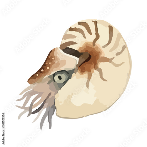 Hand drawn watercolor deep sea fish illustration set, mysterious abyssal creatures