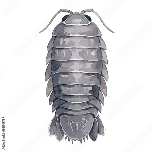 Hand drawn watercolor deep sea fish illustration set, mysterious abyssal creatures