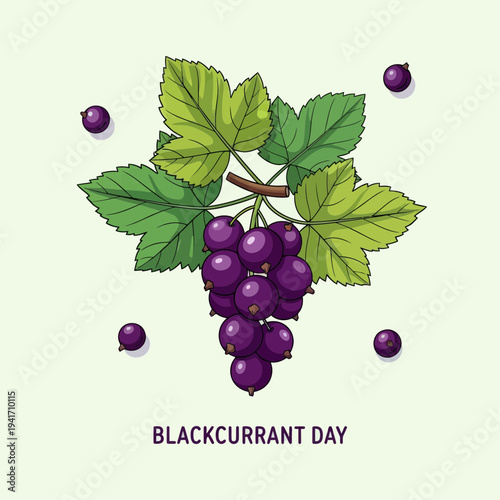 Blackcurrant Day illustration with fresh berries and leaves