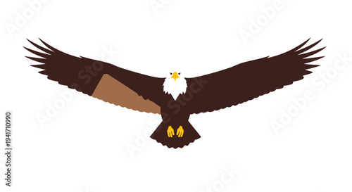 Soaring eagle graphic illustration with outstretched wings on white background