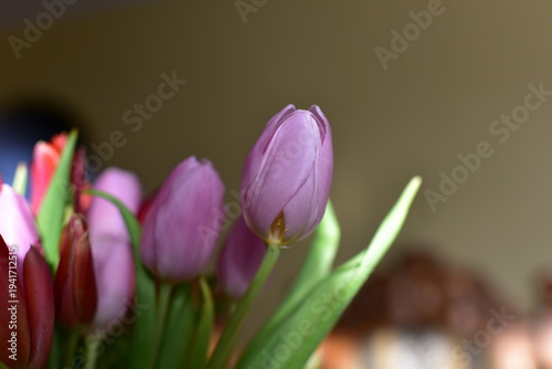 bukiet tulipanów w wazonie © Piotr