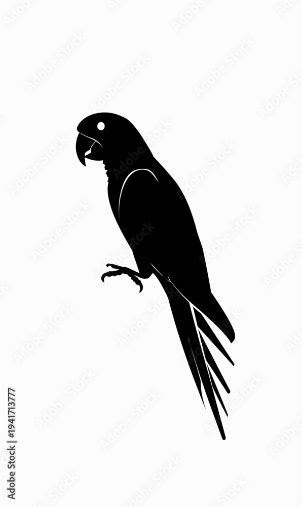 Fototapeta premium Black parrot silhouette against white background for graphic design