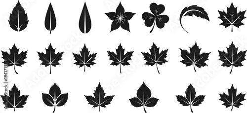 Collection of Black Silhouette Leaf Icons and Designs Keywords: leaf, leaves, maple leaf, shamrock, clover, nature, autumn, fall