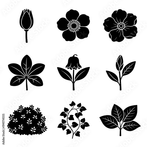 Botanical nature collection featuring various flowers buds leaves and shrubs in simple vector silhouette style for floral design and garden landscaping concepts and themes