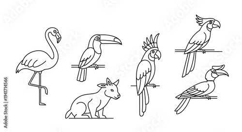 Collection of various exotic birds and a small animal in outline style.