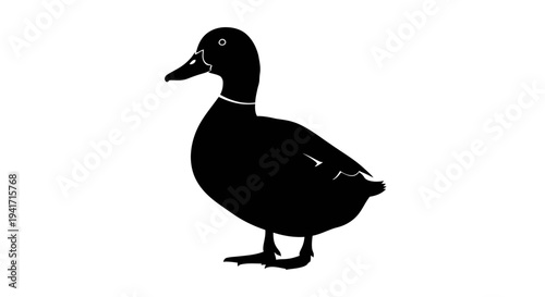 Black duck silhouette on white background, simple graphic illustration of a waterfowl.