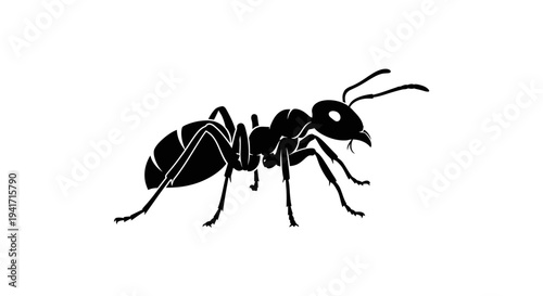Black Silhouette of an Ant on White Background