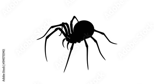 Black spider silhouette on white background