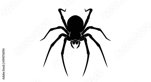 Black spider silhouette, arachnid, insect, white background, creepy, Halloween