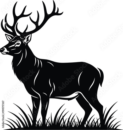 Silhouette of a Majestic Stag with Large Antlers Standing in Grass deer animal