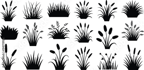 Large set of black grass and reed silhouettes with various cattail and botanical plant elements isolated on white background for landscape design.