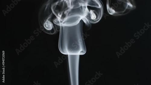 Graceful white smoke flowing and swirling elegantly upwards against a deep black background in slow motion for an abstract art concept and ethereal effect