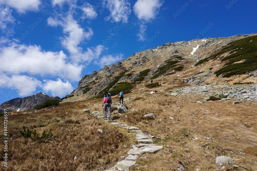 Fototapeta premium Hikers climbing mountain trail toward rocky summit on sunny day