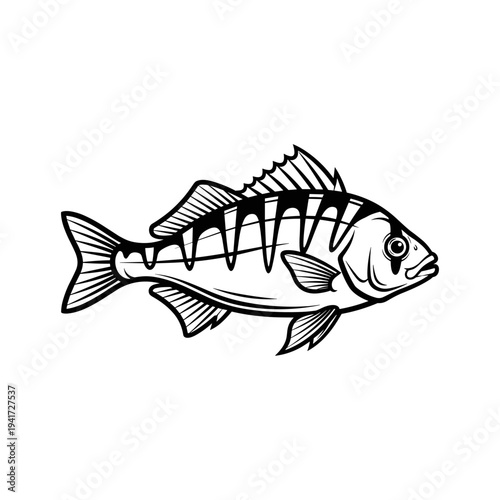 A black and white drawing of a fish