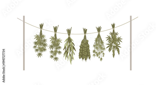 Six distinct bundles of dried cannabis plants, varying in density, are suspended by twine from a horizontal rope between two poles.