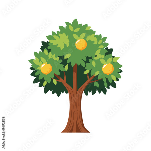 A tree with oranges and green leaves