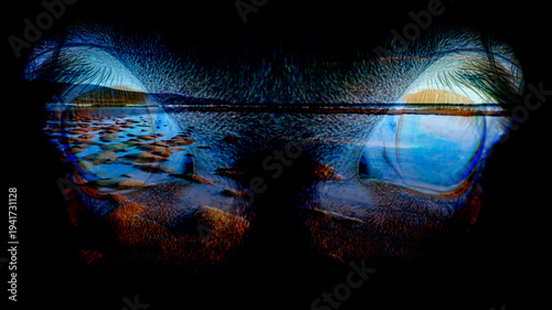 A Highland beach through a horse's eyes
