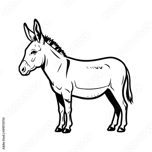 A black and white drawing of a donkey standing still