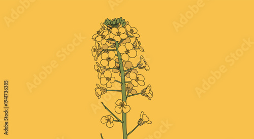 A stylized, graphic illustration of a yellow canola flower stalk set against a solid mustard yellow background for a modern look.