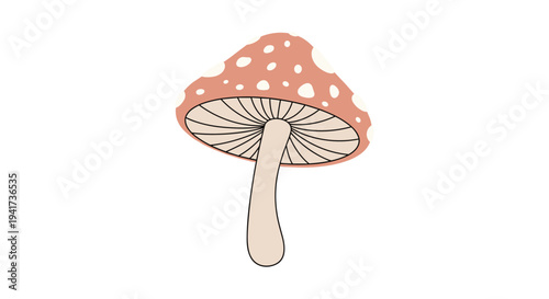 A cute and simple illustration of a single amanita muscaria mushroom, or fly agaric, with a spotted pinkish-red cap.