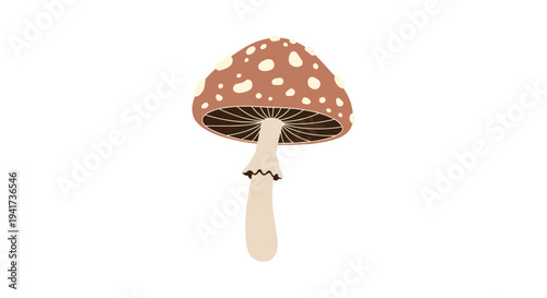 A simple vector illustration of a single brown mushroom with white spots on its cap and a ring on its stem.