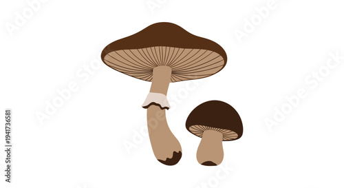 A simple vector illustration of two brown mushrooms, one large and one small, isolated on a clean white background.