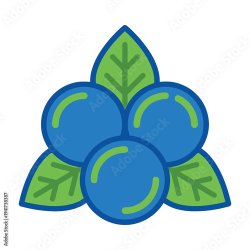 Blueberries with green leaves illustration