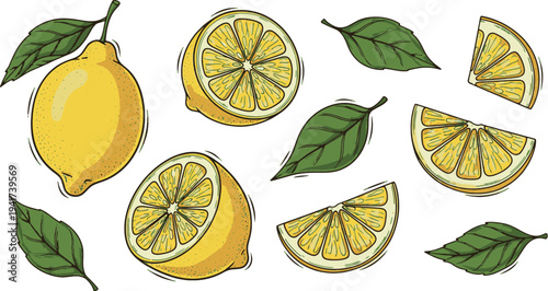 Fresh Lemon Slices and Green Leaves Set