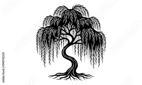 Black and White Weeping Willow Tree Silhouette Illustration