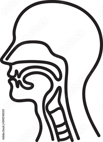 Cross section of human head and neck representing sore throat anatomy and respiratory infection vector icon